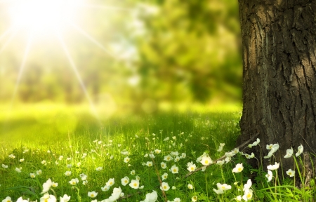 视频转场特效教程