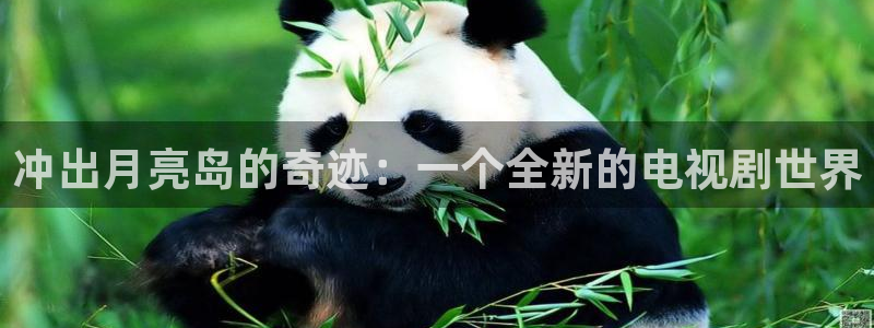 冲出月亮岛的奇迹：一个全新的电视剧世界